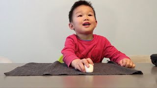 Most ADORABLE Marshmallow Test!