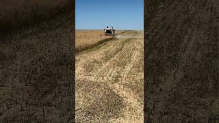 #music #anime #song #automobile #farming #agriculture #farm #cow #phonk #animeedit