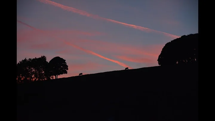 Gerald Finzi - Intimations of Immortality - Op. 29...