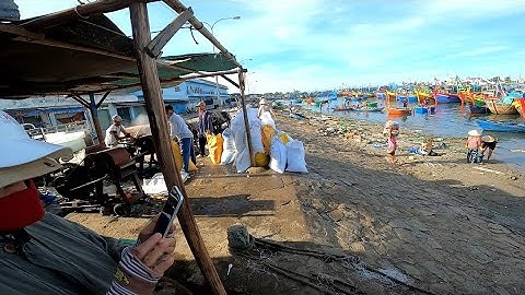 Cảng Cá Phan Rí Cửa | Ghe Vào | Ướp Cá | Bàn Giao Bạn Hàng | 05/2020 | Video 4K