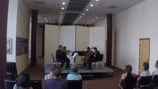 Beethoven Razumovsky 2 - 2016 08 14 Julian Shively (16) & friends