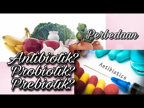 Video: Perbezaan Antara Acidophilus Dan Probiotik