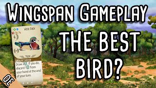Wingspan Gameplay | Is Wood Duck the best bird in the game?