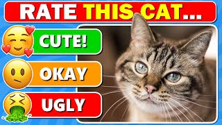 Cat Tier List  Rank the TOP 51 CAT BREEDS from Different Countries