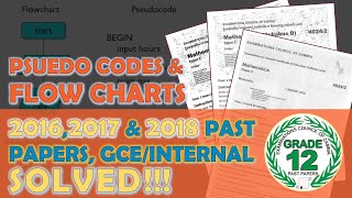 Pseudo Codes And Flow Chart | G12 ECZ Math P2  |  2016, 2017,2018 | GCE | Internal| Zambia education