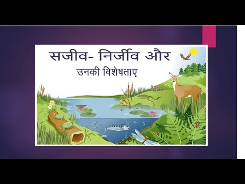 E.V.S. - Characteristics of Living Things | सजीव और निर्जीव की विशेषताएं