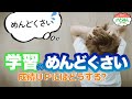 【新常識！】成績UPの近道は「めんどくさい」と向き合え！！