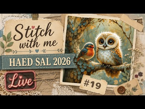 ライブ😸2026/06/28 HAED “SAL 2026  The Wise & The Brave”