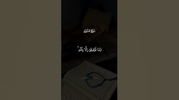 "آيات من سورة هود 📖 موعظة تهدي القلوب