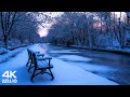🎶 Beautiful Winter Snow Relaxing Piano Music -Soothing Calming Meditation Yoga Study Sleep Music