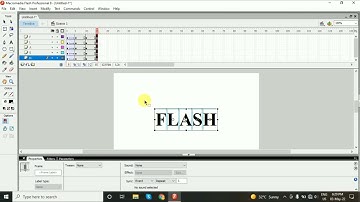 Flash Tutorial Beginners | Simple Text Effect Animation in Flash |Timeline with text motion in flash