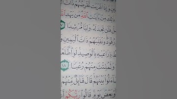 ما معنى "وكلبهم بسط ذراعيه بالوصيد"#سورة #الكهف