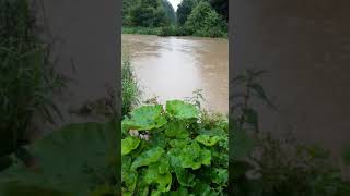 Doode Bemde Oud-Heverlee Volledig Onder Water