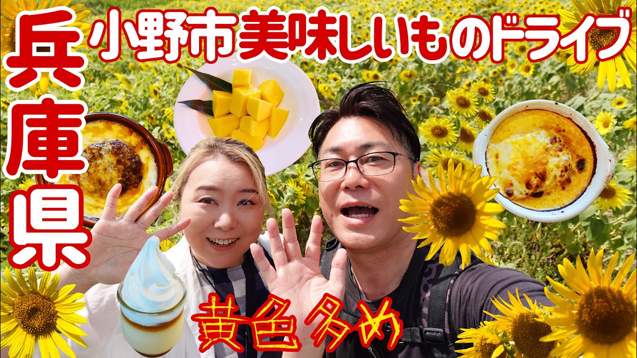 【 兵庫県 小野市 】黄色い物多め？小野市 美味しい物ドライブ 【ひまわりの丘公園  ラゴッチャ  ミルカーズ  国宝浄土寺 】