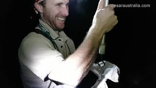 A Night With The Platypus Guy Josh Griffiths - Senior Wildlife Ecologist At Cesar
