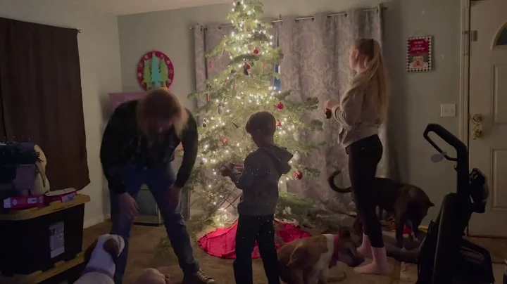 Cutting our Christmas tree and Decorating 2022