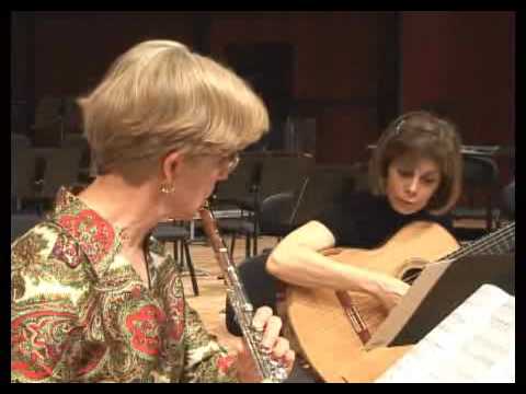 JoAnn Falletta Plays /  Virginia Symphony Orchestra