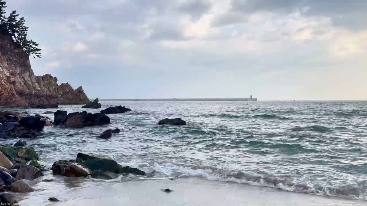 [1시간] 소리가 얇아진 바다 | 안인바다 파도 소리