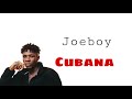 Joeboy - Cubana (Video Lyrics)