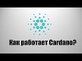 Криптовалюта Cardano - Как работает Cardano(ADA)? #Cardano
