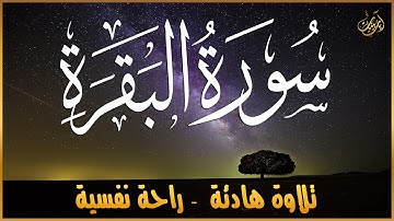 سورة البقرة كامله 🎧 تلاوة هادئة ومريحه جداً تسمعها قبل النوم😴راحة نفسية💚Sourat Al Baqara  full