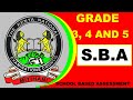 Sba 2024grade 3 4 and 5 projects practicals and performance tasks written