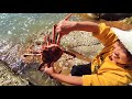 A bumper harvest of Pacific seafood! Ying encounters a big tide and the seafood is stranded.