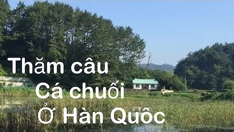 Câu cá lóc-thăm câu cá lóc ở Hàn quốc