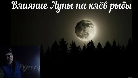 Влияние луны на клёв рыбы .