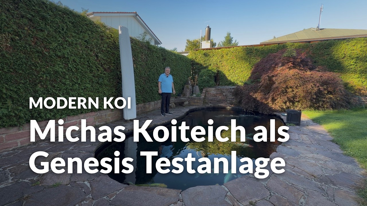 Micha Rupps 22 Jahre alter Koiteich | Modern Koi Blog #8384