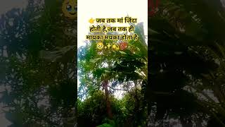 जब तक मायके में मां जिंदा होती है ..🙏#motivation #trueline #suvichar #quotes #shorts .