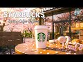 【Spring Starbucks Jazz】春のやわらかな朝、スターバックスのカフェで流れる心地よいジャズとボサノヴァ 🌸 桜色の光に包まれるリラックスタイム