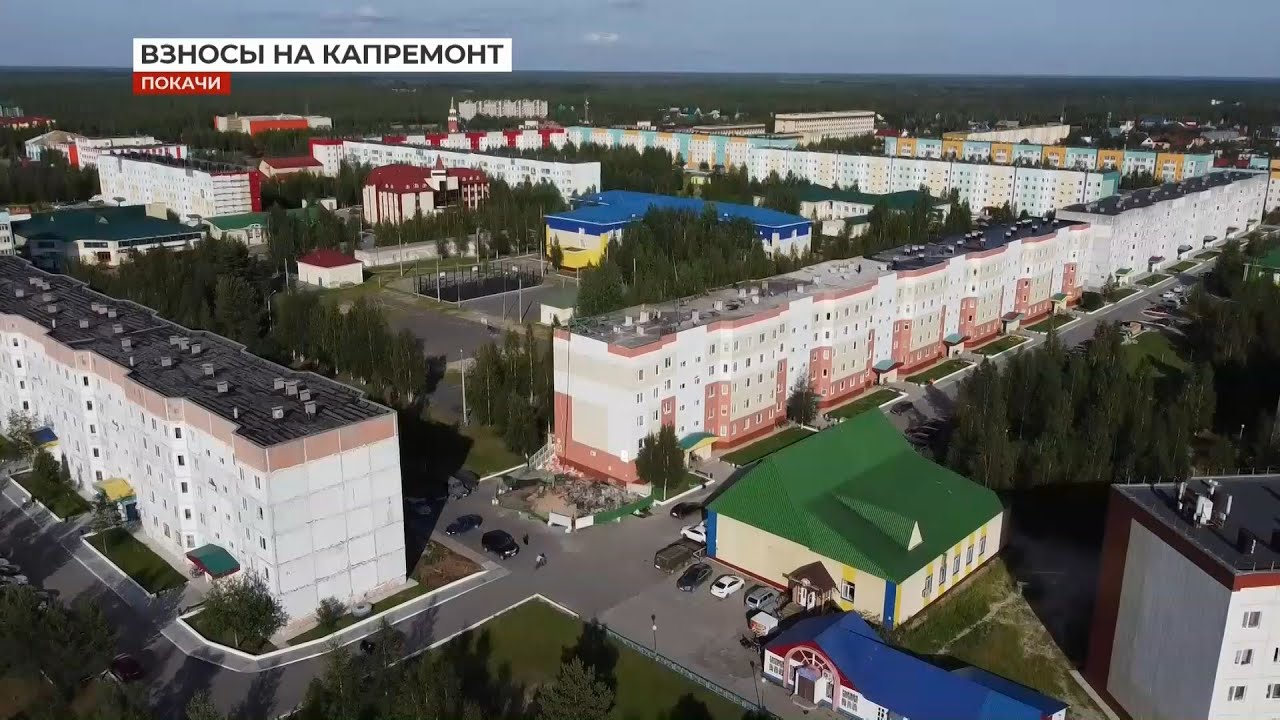 Стелла покачи Стелла покачи