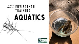 NVSWCD Local Envirothon Training- Aquatics