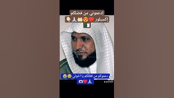 تلاوه عطره بصوت الشيخ ماهر المعيقلي #اكسبلور #duet #تيك_توك #لايك #راحة_نفسية #دويتو #متابعه #ترند