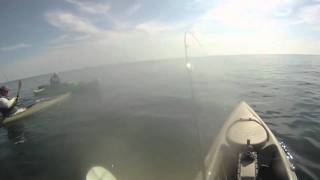 Kayakfishing Cape Cod--Day1.mov
