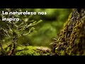 Seminario IBIO - ¿Como la naturaleza inspira las nuevas tecnologías?