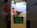 ဧရာမ မိကျောင်းကြီးနဲ့ မျက်နှာချင်းဆိုင် ကြုံတွေ့ခဲ့ရတဲ့ အမျိုးသမီး | တုန်လှုပ်ဖွယ် ဖြစ်ရပ်အပေါ် တုံ့