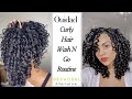 Alternative To DEVACURL | Updated Curly Hair Routine Using Ouidad | Wash And Go