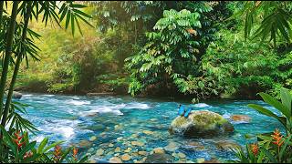 Forest River Ambience | No Talking No Music Sleep & Focus Cozy Ember ASMR 🌊