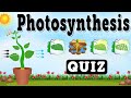 Photosynthesis Quiz