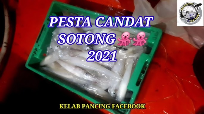 Pesta Candat Sotong Di Kelantan 2021 Youtube