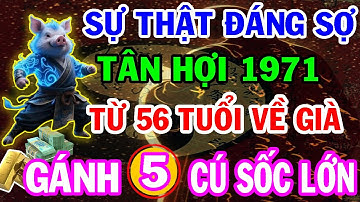 Rúng Động! Tuổi Tân Hợi 1971 Từ 56 Tuổi Về Già Sẽ Đối Mặt 5 Cú Sốc Lớn Theo Lời Tiên Tri!