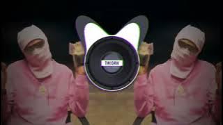 ZN FODÁSTICA 2 - [Tikt Tok] (Bass Boosted)