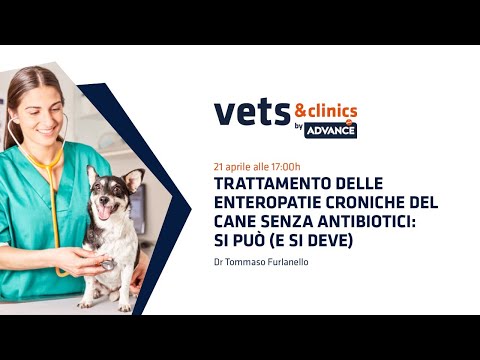 02.IT Trattamento delle enteropatie croniche del cane senza antibiotici: si può (e si deve).