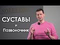 Суставы и позвоночник | Андрей Лукашевич