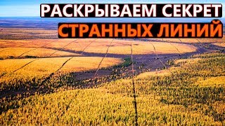 ЗАГАДКИ ТАЙГИ | РАСКРЫВАЕМ СЕКРЕТ СТРАННЫХ ЛИНИЙ