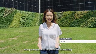 Powering On: Green Career Opportunities in Power Generation Companies