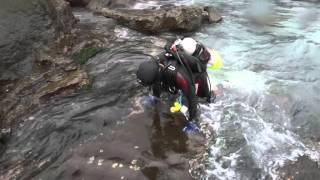 11302015 Water exit with flippers-Daniel