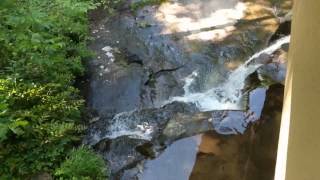 Fallingwater | Mill Run, Pennsylvania